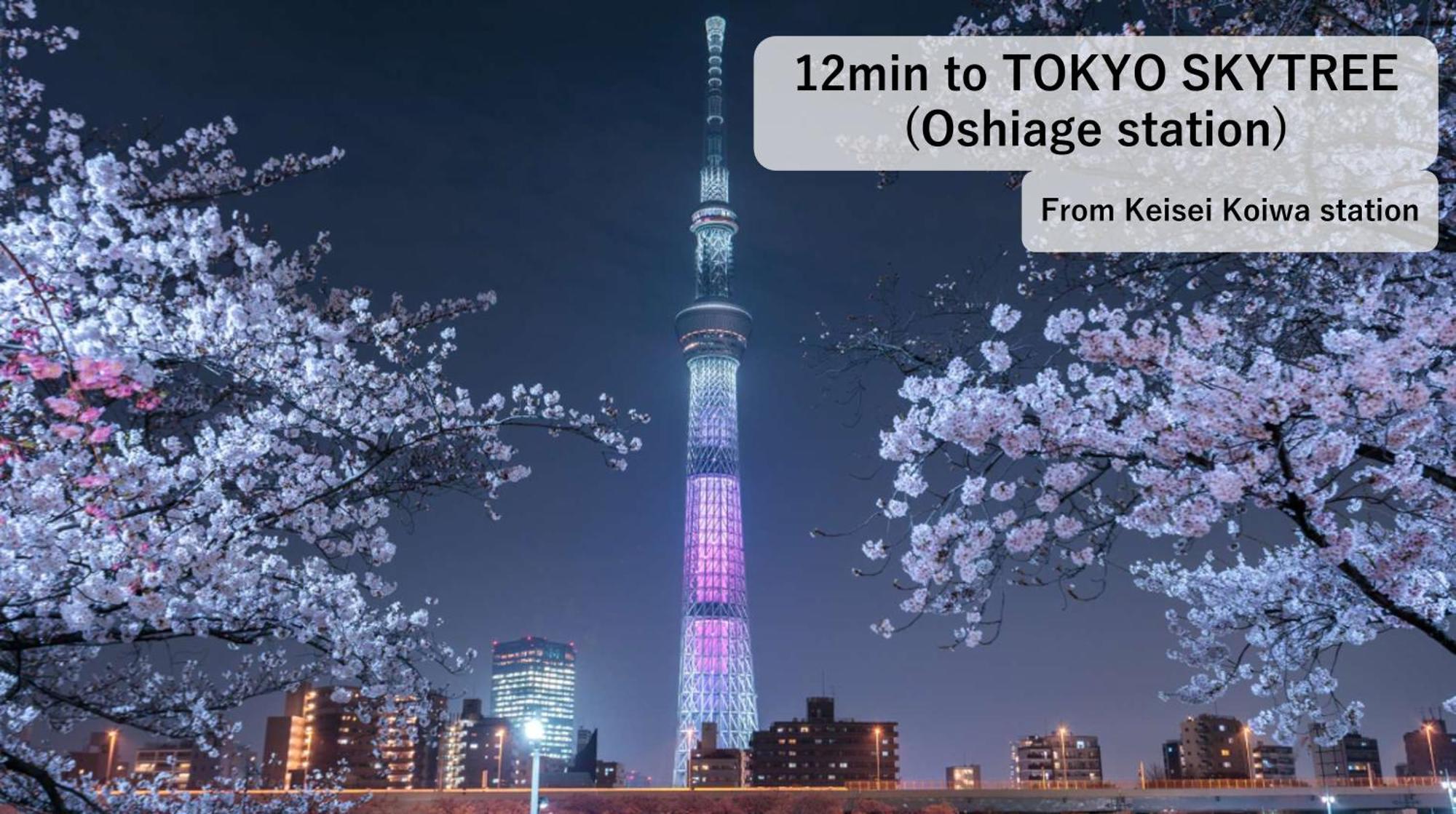 Asahistay -Koiwa, Free Parking O, Whole Family House, Japanese Garden Taste Präfektur Tokio Exterior foto